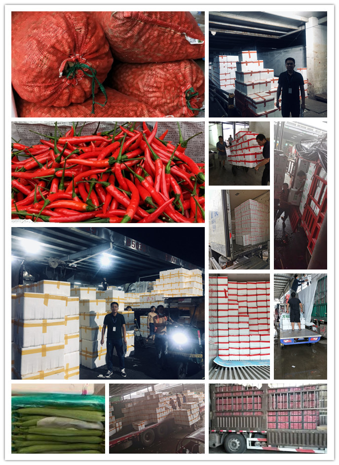 首页-PA真人集团有限公司官网