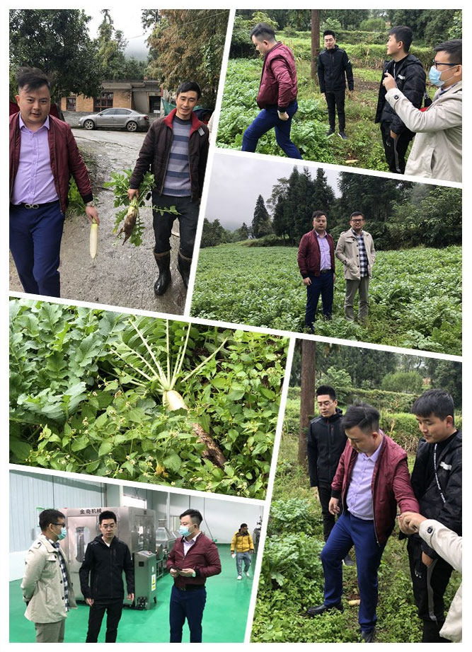 首页-PA真人集团有限公司官网