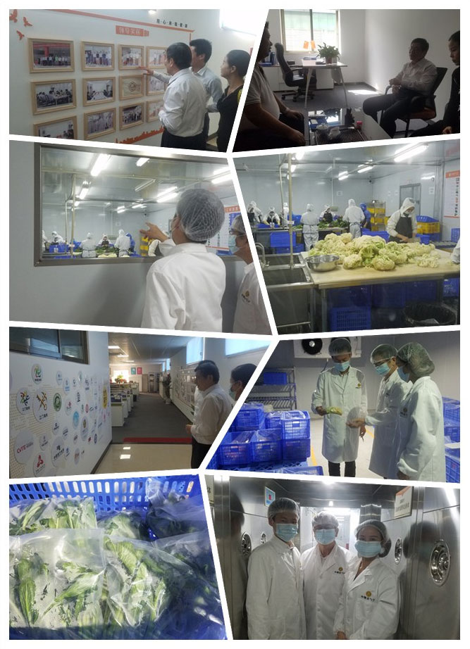 首页-PA真人集团有限公司官网