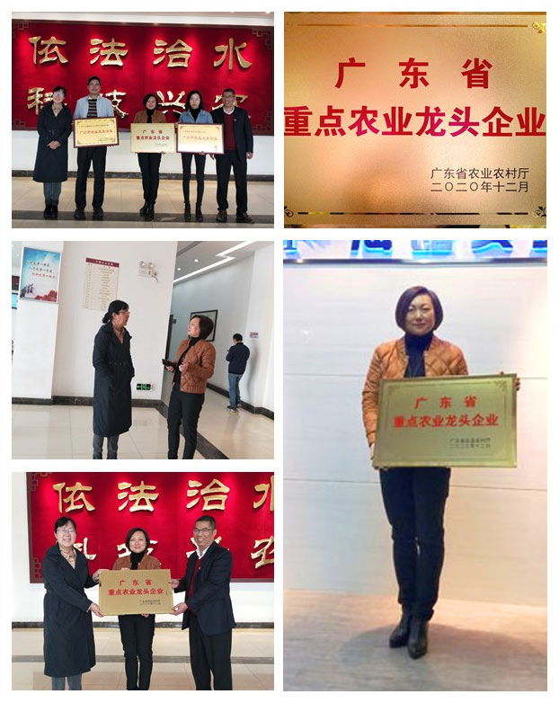 首页-PA真人集团有限公司官网