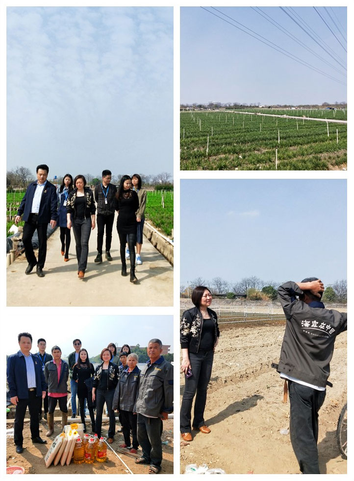 首页-PA真人集团有限公司官网