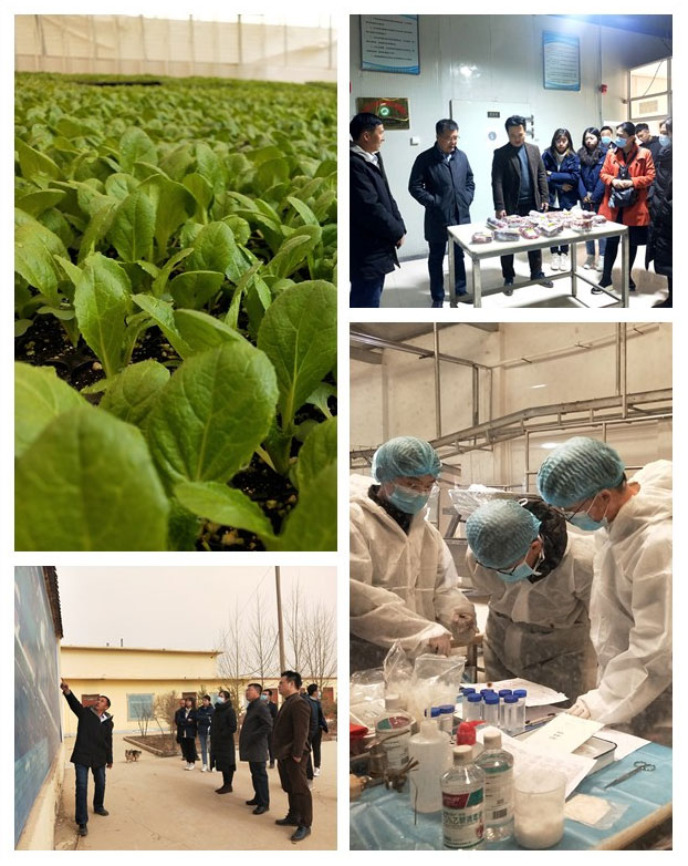 首页-PA真人集团有限公司官网