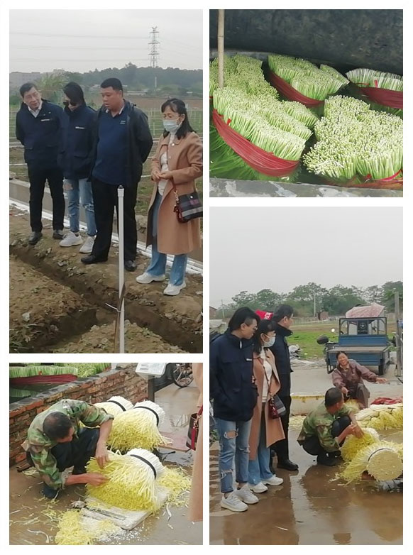 首页-PA真人集团有限公司官网