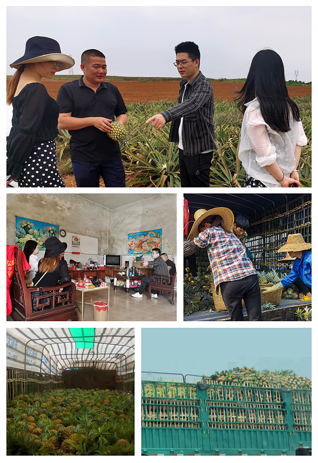 首页-PA真人集团有限公司官网