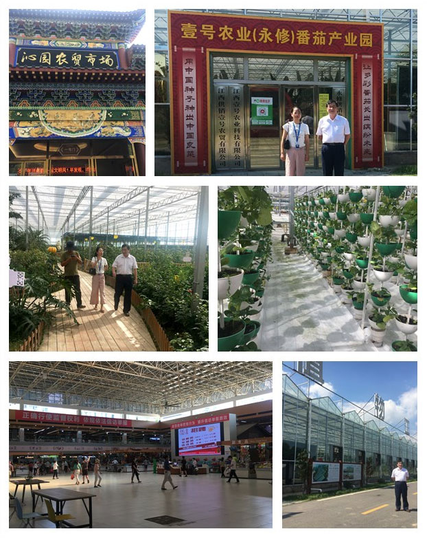 首页-PA真人集团有限公司官网