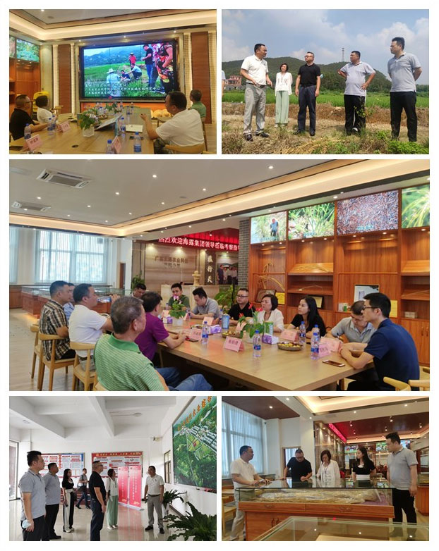 首页-PA真人集团有限公司官网