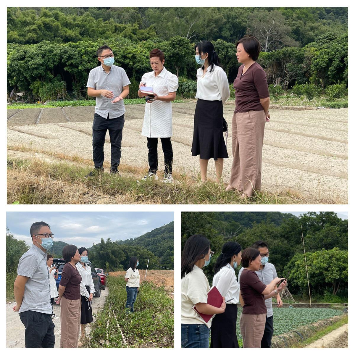 首页-PA真人集团有限公司官网