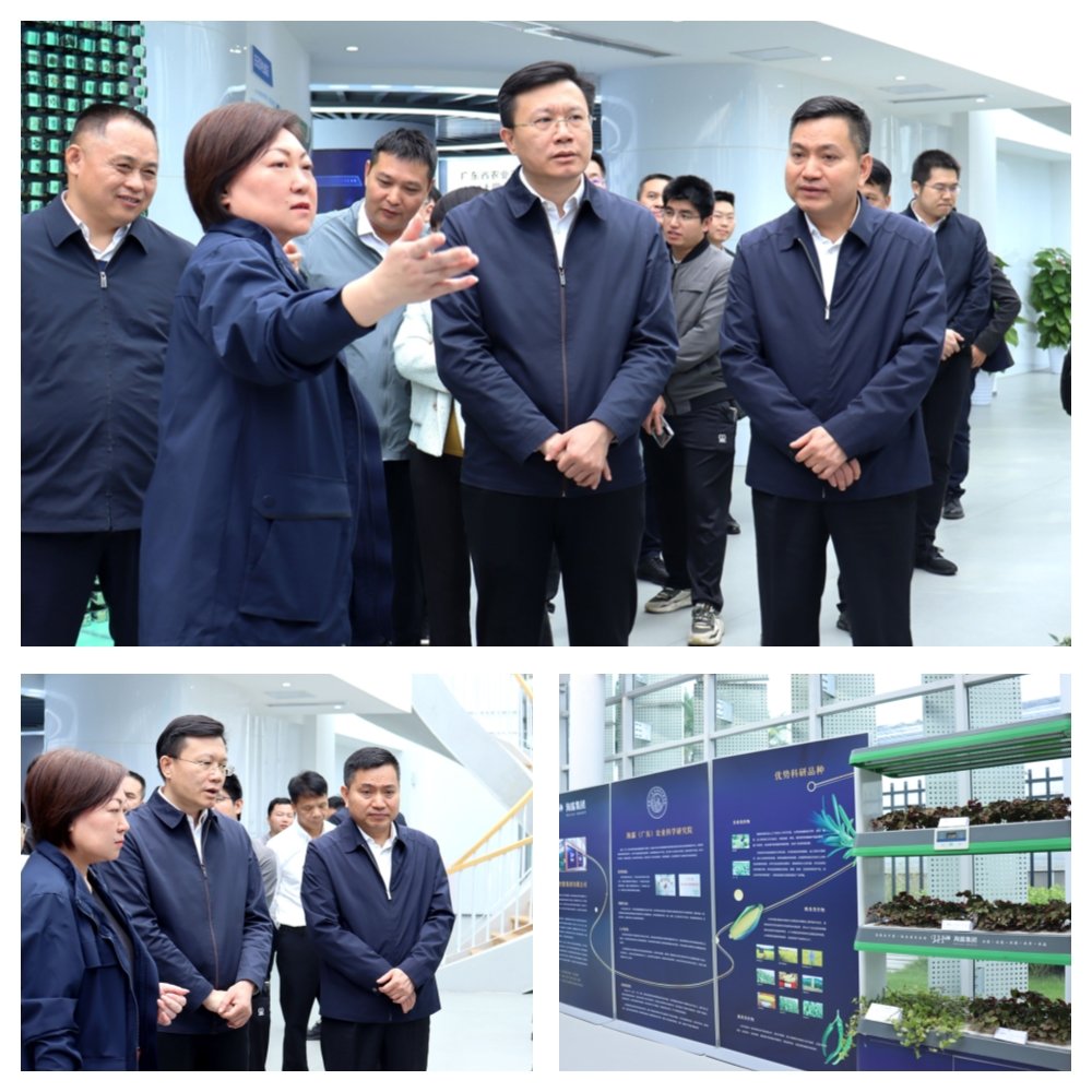 首页-PA真人集团有限公司官网