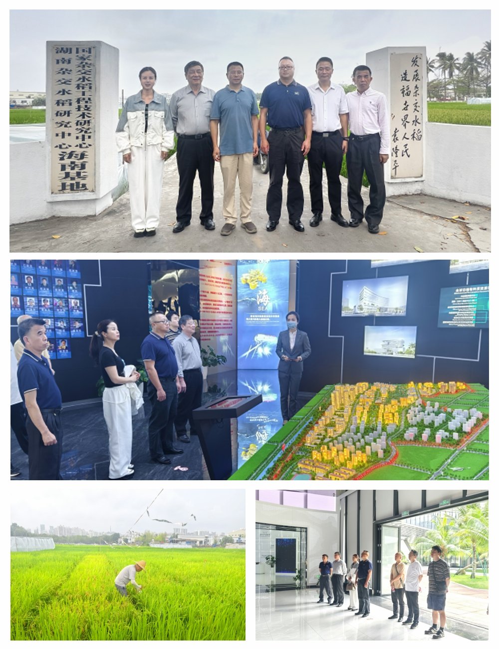 首页-PA真人集团有限公司官网