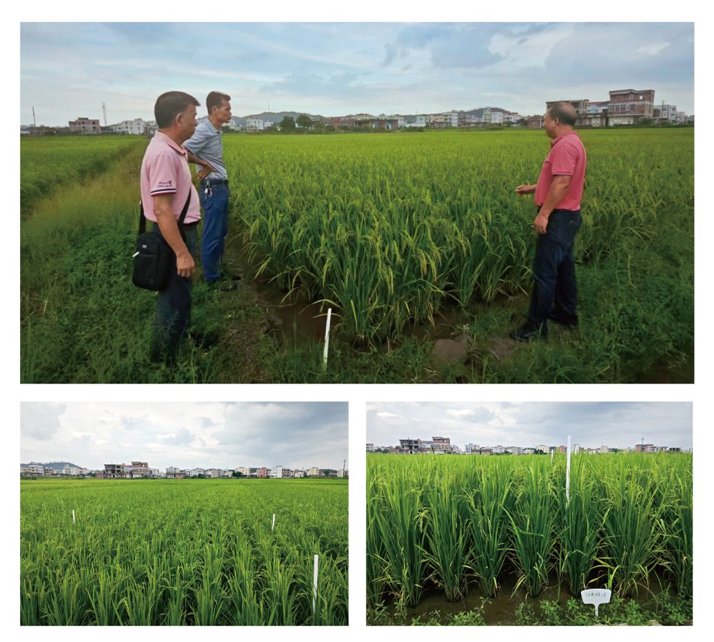 首页-PA真人集团有限公司官网