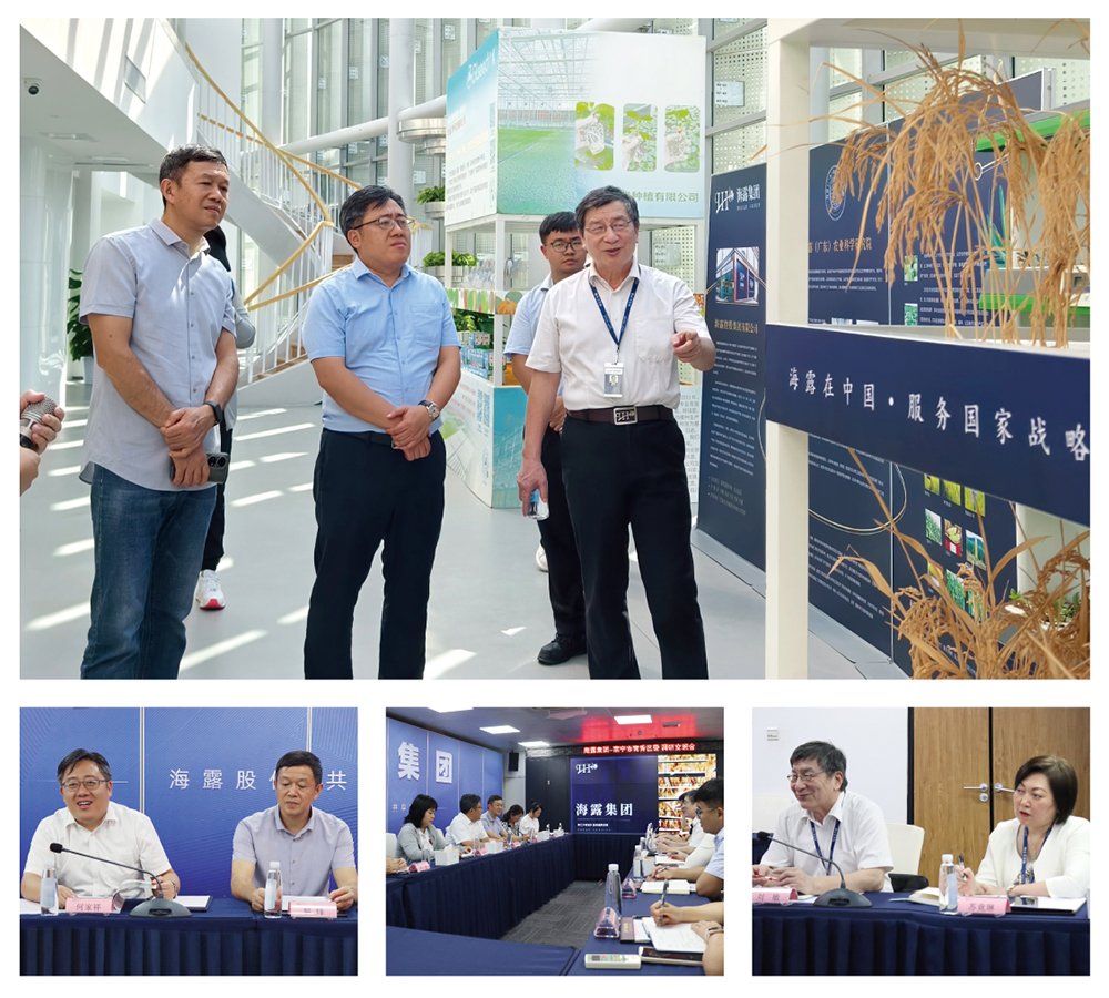 首页-PA真人集团有限公司官网