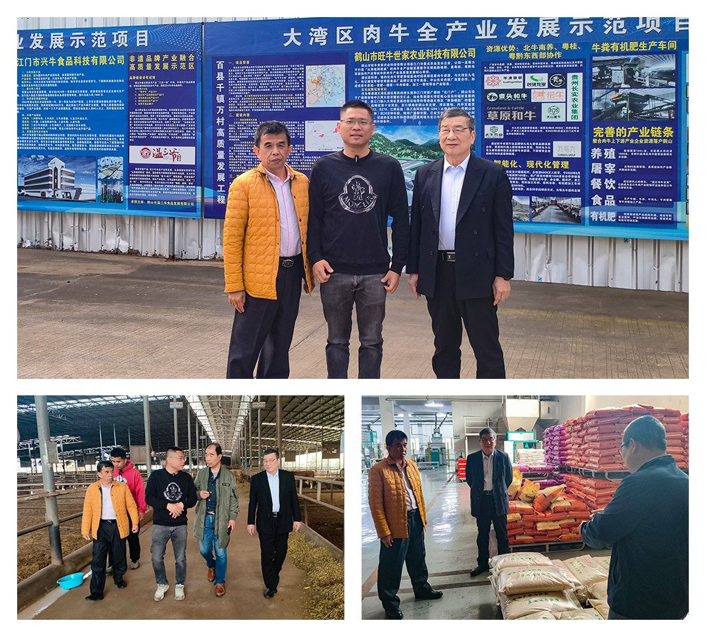 首页-PA真人集团有限公司官网