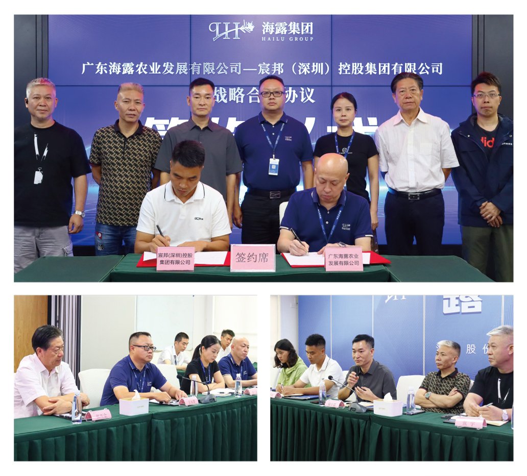 首页-PA真人集团有限公司官网