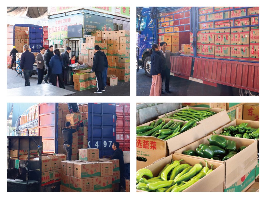 首页-PA真人集团有限公司官网